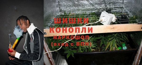 a pvp Няндома
