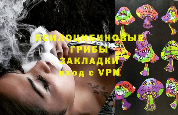 a pvp Няндома