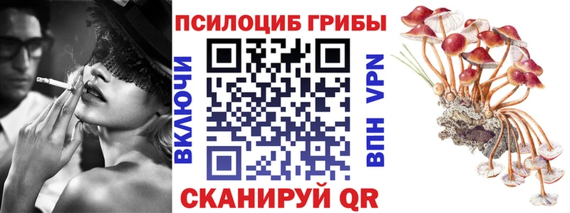 Купить  Краснозаводск  Псилоцибиновые грибы Cubensis 